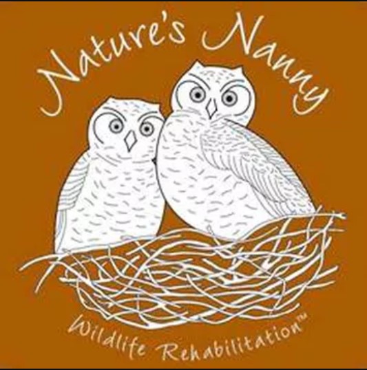 Nature's Nanny Logo