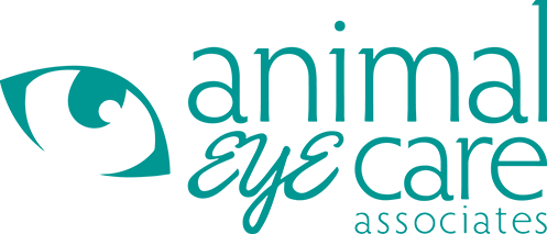 Animal Eye Care VA | Animal Eye Care Associates